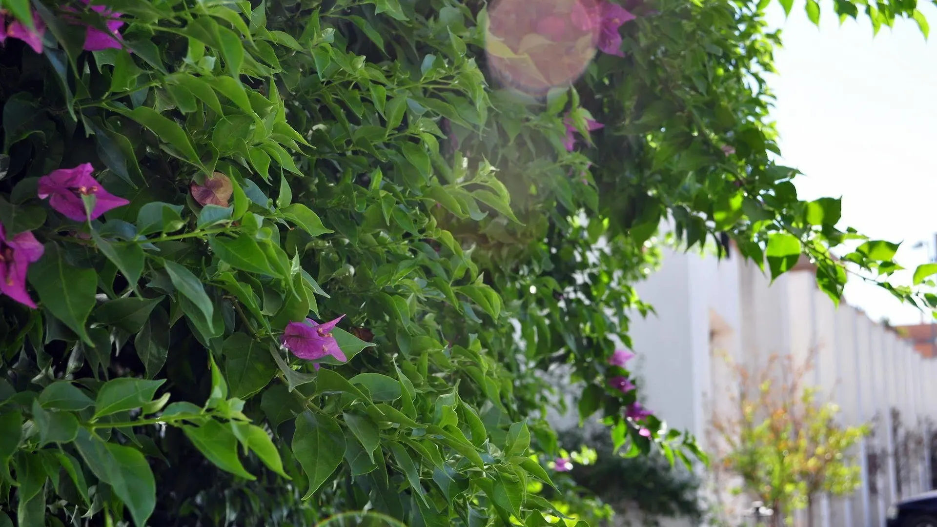 **  Hotel Oasis Cordoba İspanya